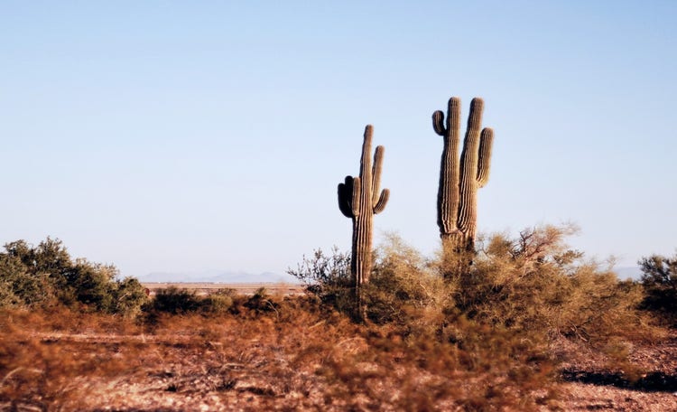 Do I have atopic dermatitis